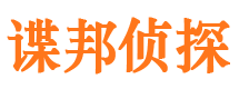 安岳市私家侦探